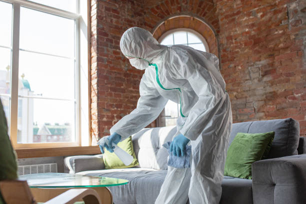 Why You Should Choose Our Mold Remediation Services in Red Corral, CA