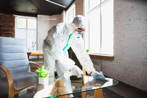 Best Mold Remediation for Healthcare Facilities in Red Corral, CA