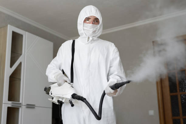 Best Forensic Mold Investigation in Red Corral, CA