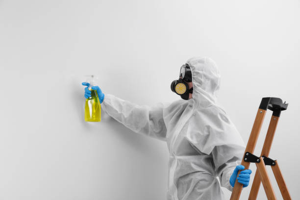 Trusted Red Corral, CA Mold Removal Experts